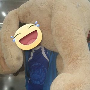 Meet your Posher, Guillermo